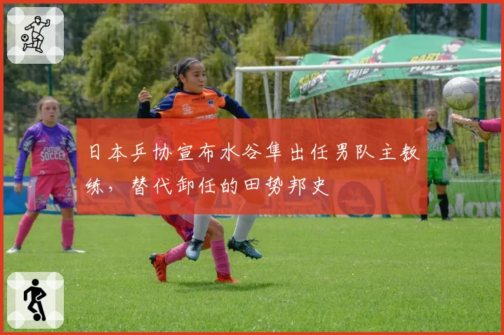 日本乒协宣布水谷隼出任男队主教练，替代卸任的田势邦史