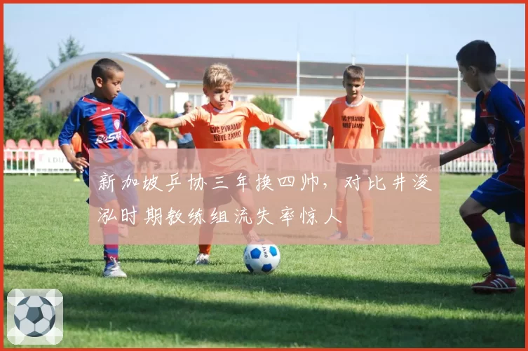 新加坡乒协三年换四帅，对比井浚泓时期教练组流失率惊人