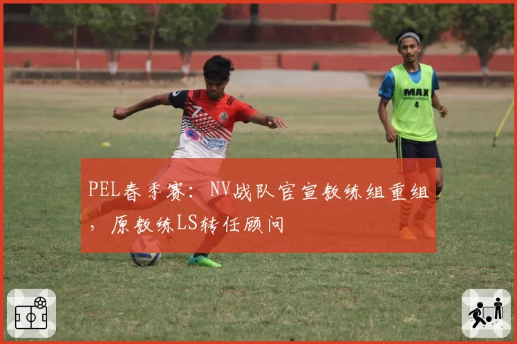 PEL春季赛：NV战队官宣教练组重组，原教练LS转任顾问