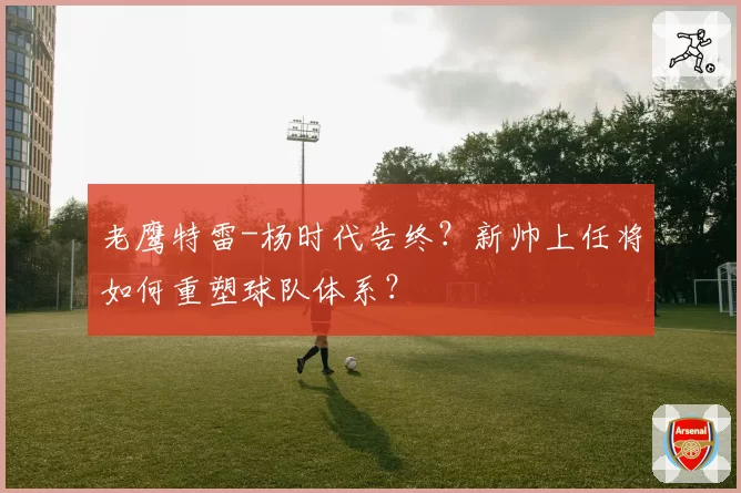 老鹰特雷-杨时代告终？新帅上任将如何重塑球队体系？