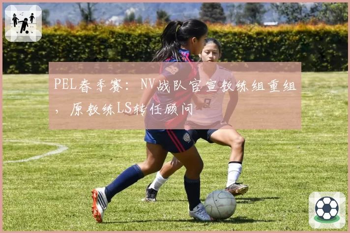 PEL春季赛：NV战队官宣教练组重组，原教练LS转任顾问
